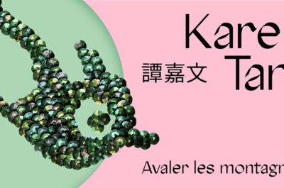 Swallowing mountains – exhibition by Karen Tam, artist-in-residence