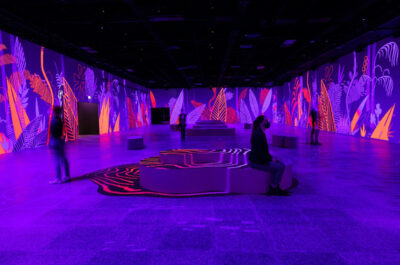 OASIS immersion – An energizing and fascinating multimedia odyssey