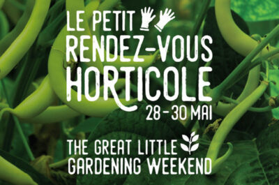 The Little Great Gardening Weekend and its virtual version – Bring on the ecological transition!